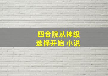 四合院从神级选择开始 小说